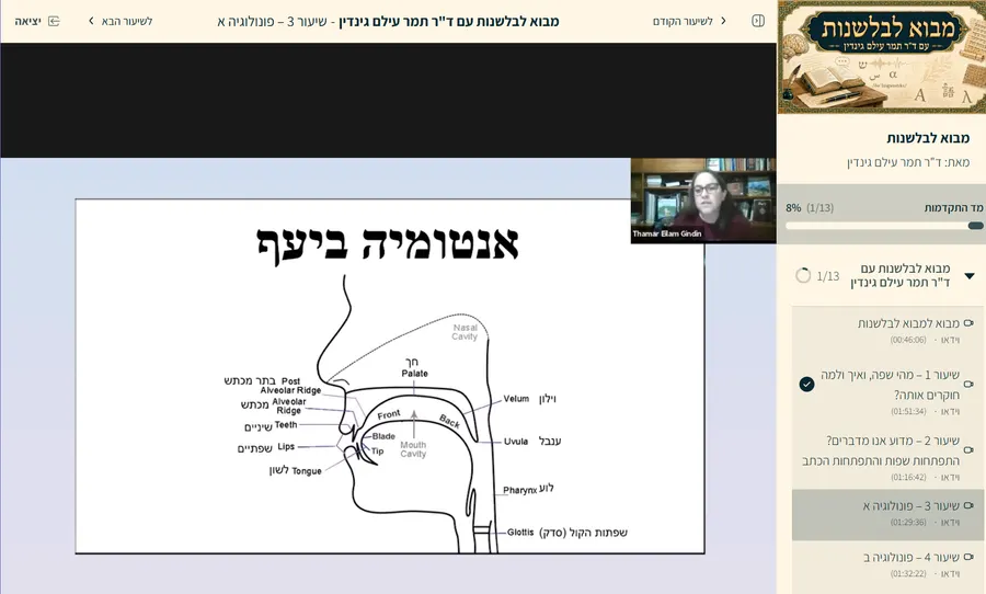 שיעור 3 – פונולוגיה, תרשים אנטומיה של הפה